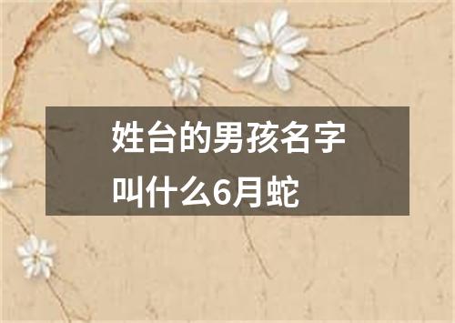 姓台的男孩名字叫什么6月蛇