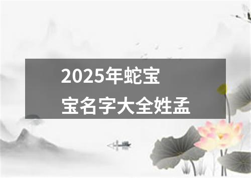 2025年蛇宝宝名字大全姓孟