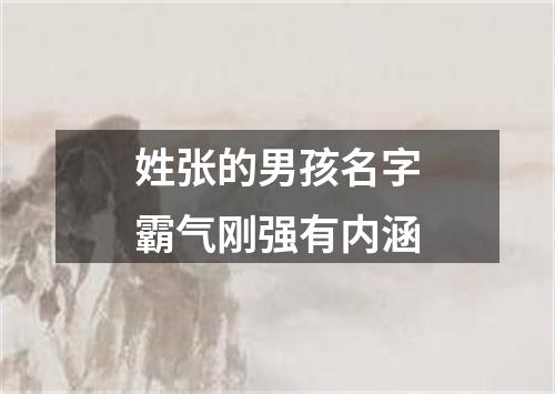 姓张的男孩名字霸气刚强有内涵