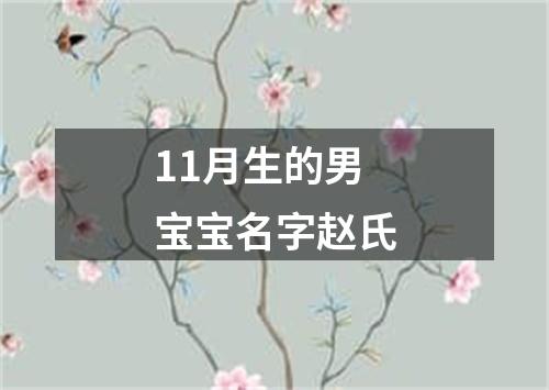 11月生的男宝宝名字赵氏
