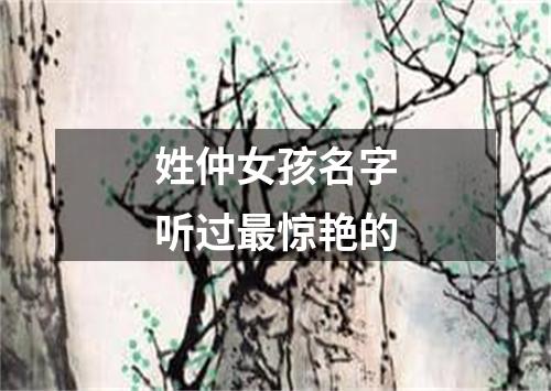 姓仲女孩名字听过最惊艳的