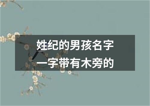 姓纪的男孩名字一字带有木旁的