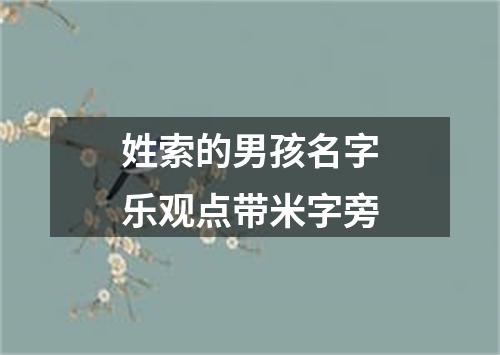 姓索的男孩名字乐观点带米字旁