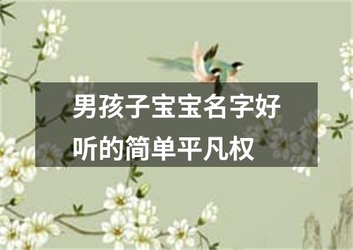 男孩子宝宝名字好听的简单平凡权