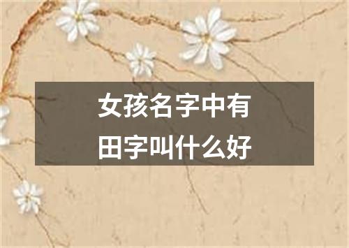 女孩名字中有田字叫什么好