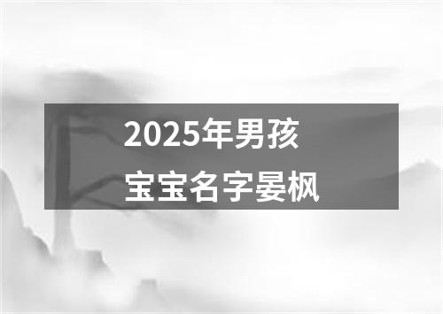 2025年男孩宝宝名字晏枫