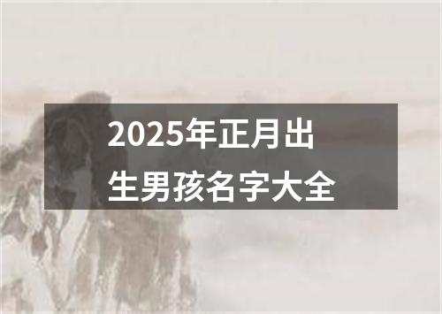 2025年正月出生男孩名字大全