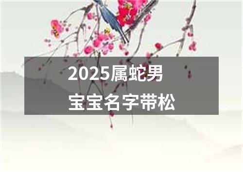 2025属蛇男宝宝名字带松