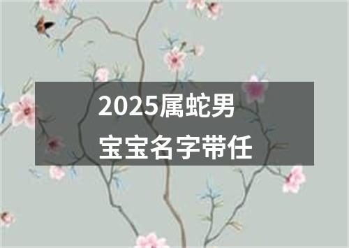 2025属蛇男宝宝名字带任