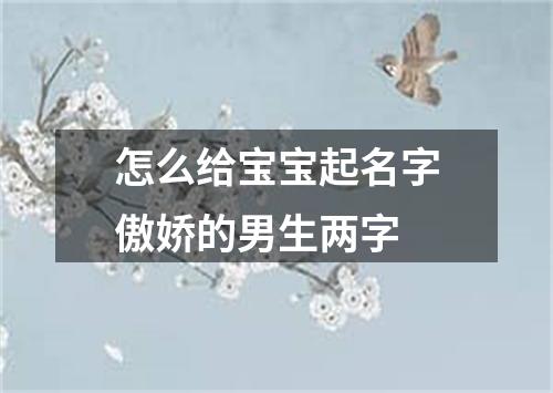 怎么给宝宝起名字傲娇的男生两字