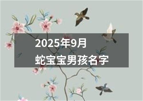 2025年9月蛇宝宝男孩名字