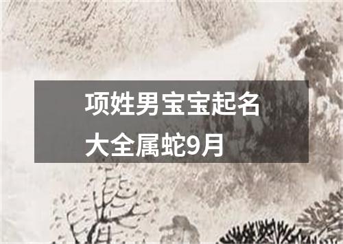 项姓男宝宝起名大全属蛇9月