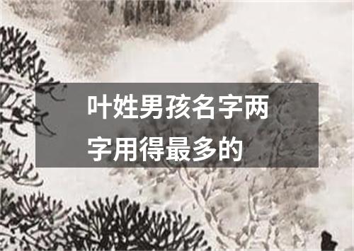 叶姓男孩名字两字用得最多的