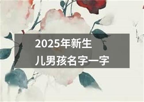 2025年新生儿男孩名字一字