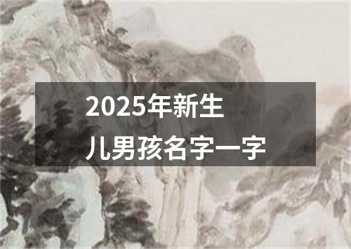 2025年新生儿男孩名字一字