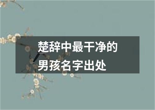 楚辞中最干净的男孩名字出处