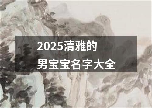 2025清雅的男宝宝名字大全