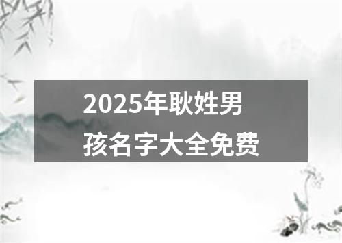 2025年耿姓男孩名字大全免费