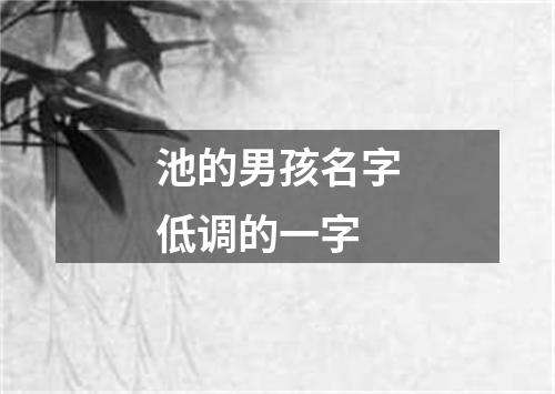 池的男孩名字低调的一字