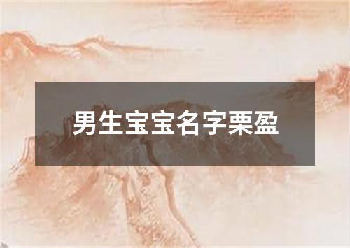 男生宝宝名字栗盈