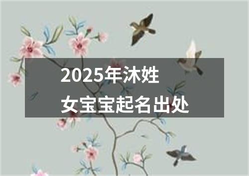 2025年沐姓女宝宝起名出处