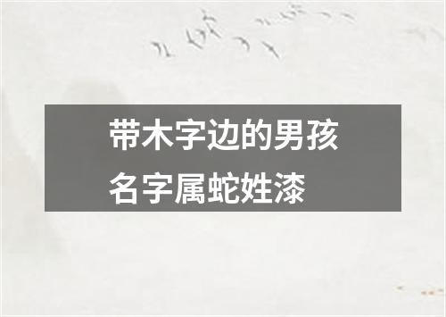 带木字边的男孩名字属蛇姓漆