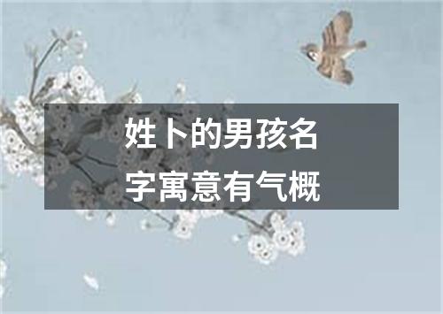 姓卜的男孩名字寓意有气概