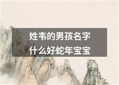 姓韦的男孩名字什么好蛇年宝宝