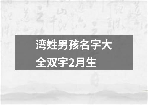湾姓男孩名字大全双字2月生