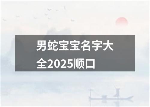 男蛇宝宝名字大全2025顺口
