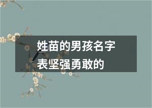 姓苗的男孩名字表坚强勇敢的