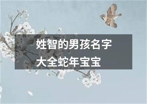 姓智的男孩名字大全蛇年宝宝