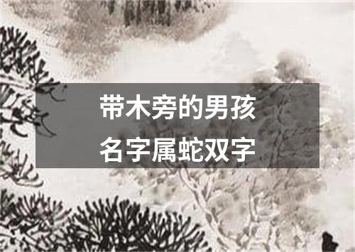 带木旁的男孩名字属蛇双字