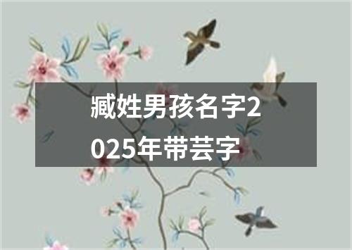 臧姓男孩名字2025年带芸字