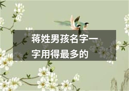 蒋姓男孩名字一字用得最多的