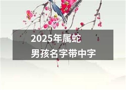 2025年属蛇男孩名字带中字