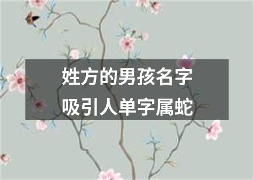 姓方的男孩名字吸引人单字属蛇