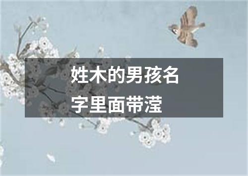 姓木的男孩名字里面带滢
