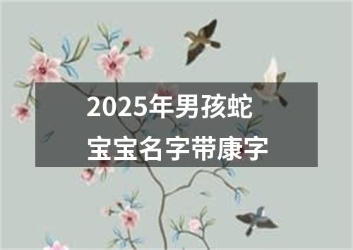 2025年男孩蛇宝宝名字带康字