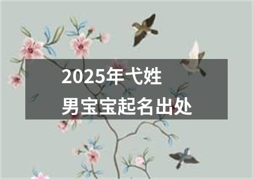 2025年弋姓男宝宝起名出处