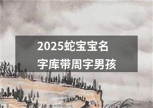 2025蛇宝宝名字库带周字男孩
