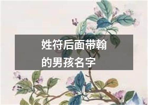姓符后面带翰的男孩名字