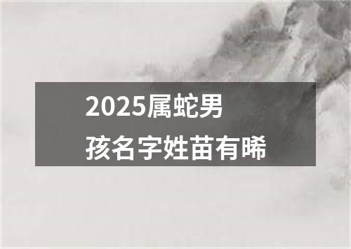 2025属蛇男孩名字姓苗有晞
