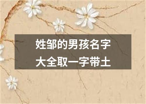 姓邹的男孩名字大全取一字带土