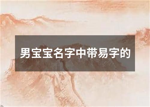 男宝宝名字中带易字的