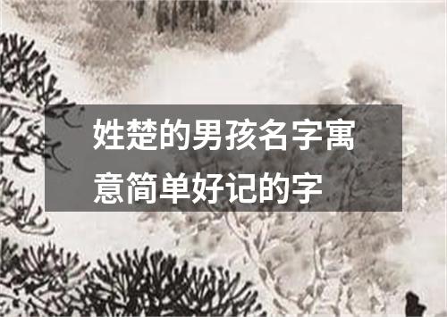 姓楚的男孩名字寓意简单好记的字