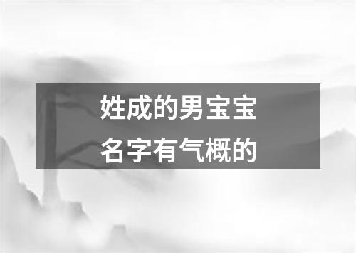 姓成的男宝宝名字有气概的