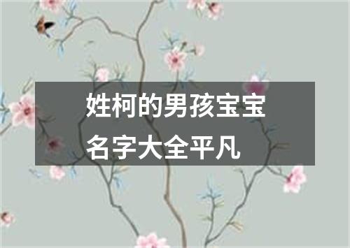 姓柯的男孩宝宝名字大全平凡