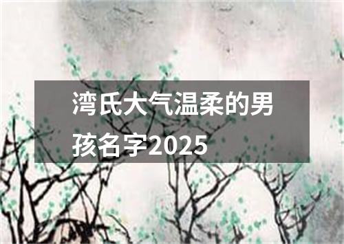 湾氏大气温柔的男孩名字2025