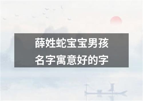 薛姓蛇宝宝男孩名字寓意好的字